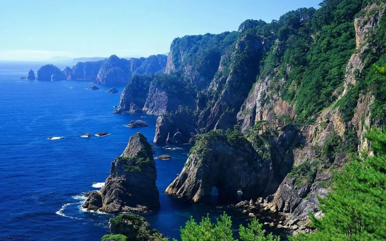 先进高端